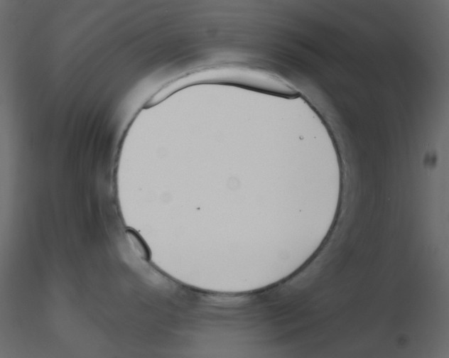 X0000115821296200912241927