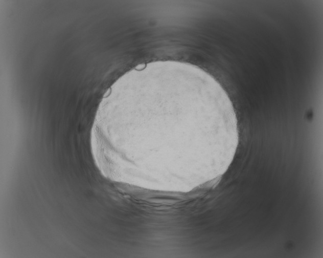 X0000115821297200912241926