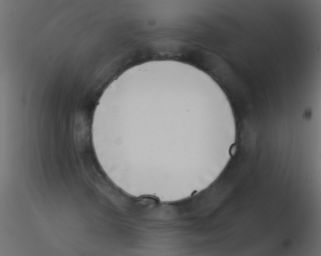 X0000115821298200912241926