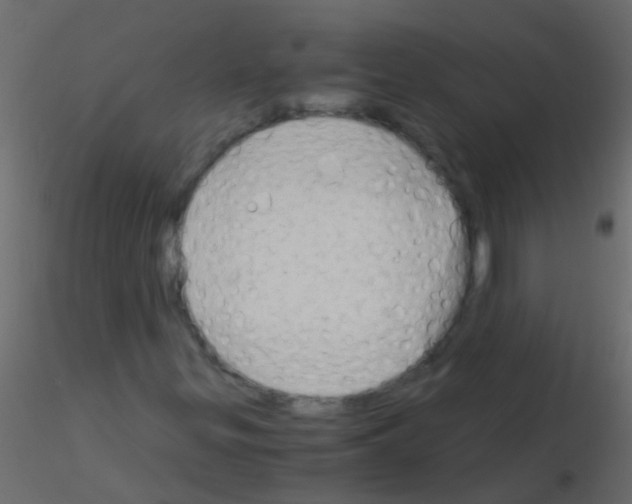 X0000115821299200912241926