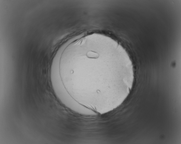 X0000115821301200912241926