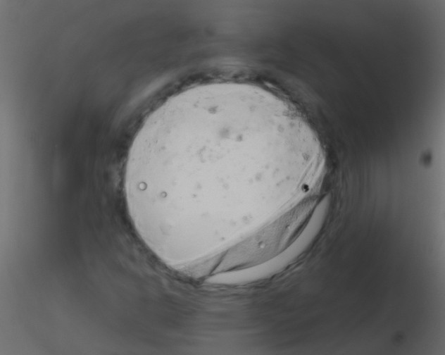 X0000115821302200912241926