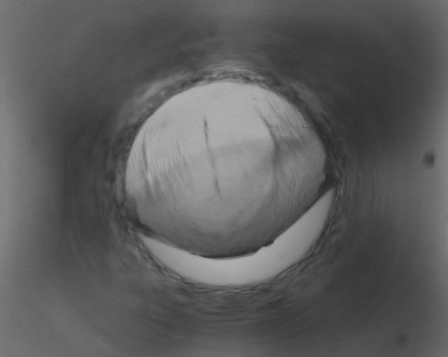 X0000115821303200912241926