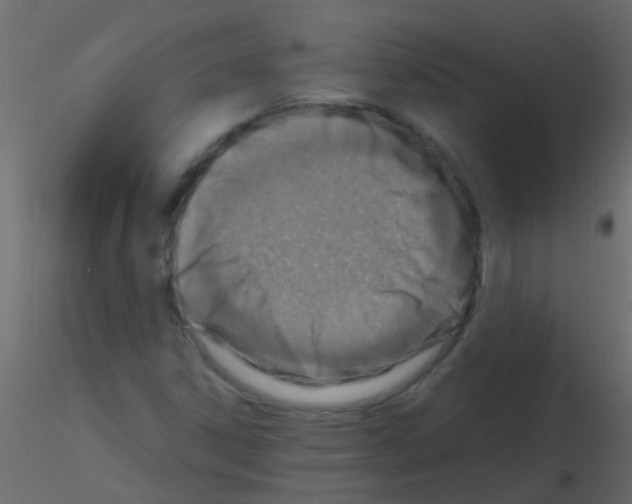 X0000115821306200912241926