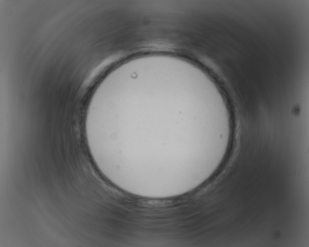 X0000115821307200912241926