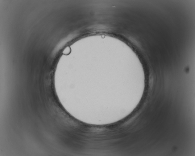 X0000115821309200912241926