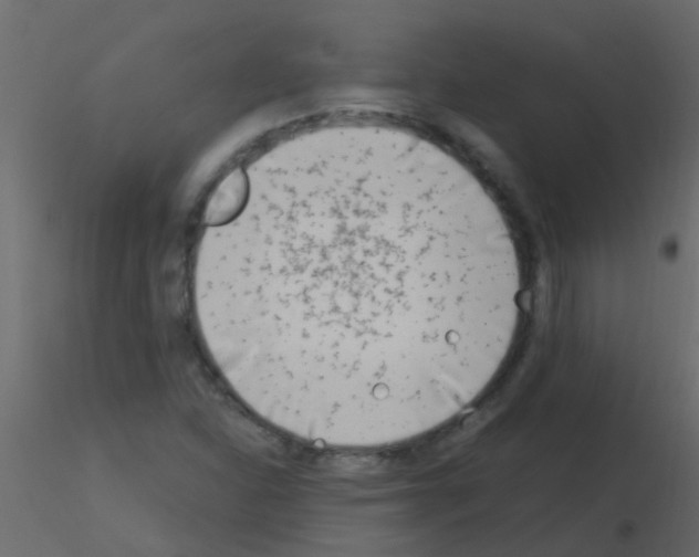 X0000115821310200912241927