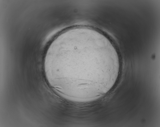 X0000115821311200912241927