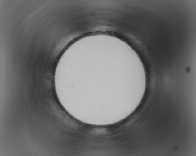 X0000115821313200912241927