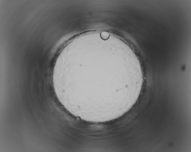 X0000115821315200912241927