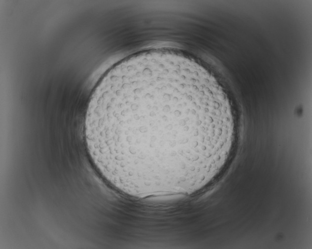 X0000115821321200912241927