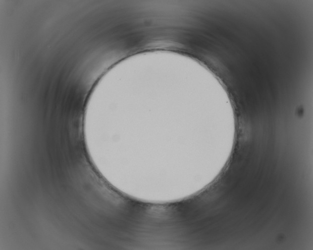 X0000115821322200912241927