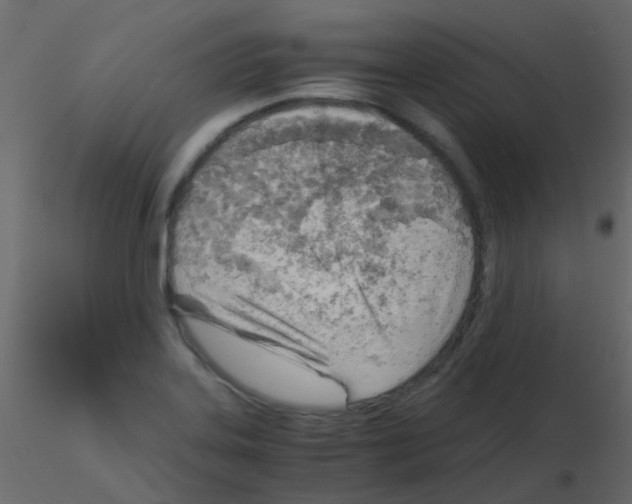 X0000115821323200912241927