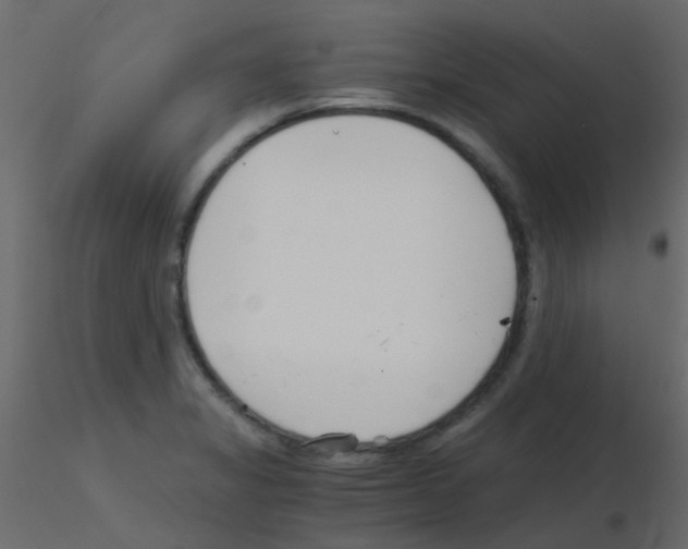 X0000115821325200912241927