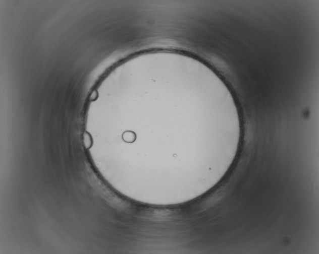 X0000115821326200912241927