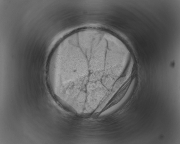 X0000115821327200912241927