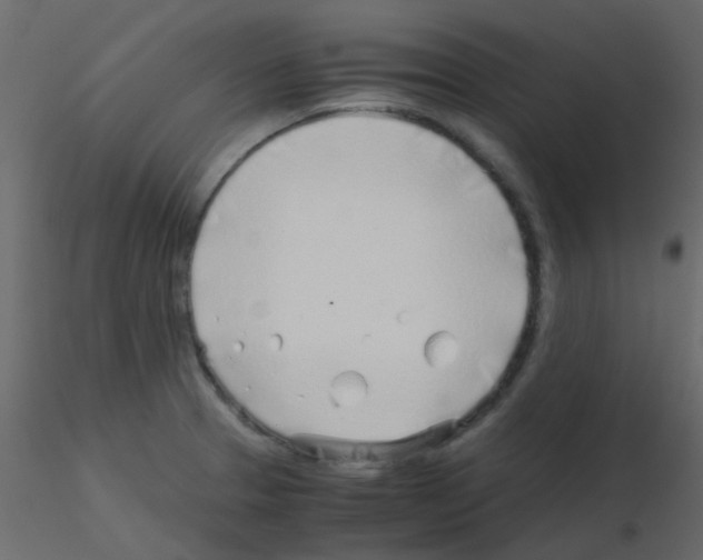 X0000115821329200912241927