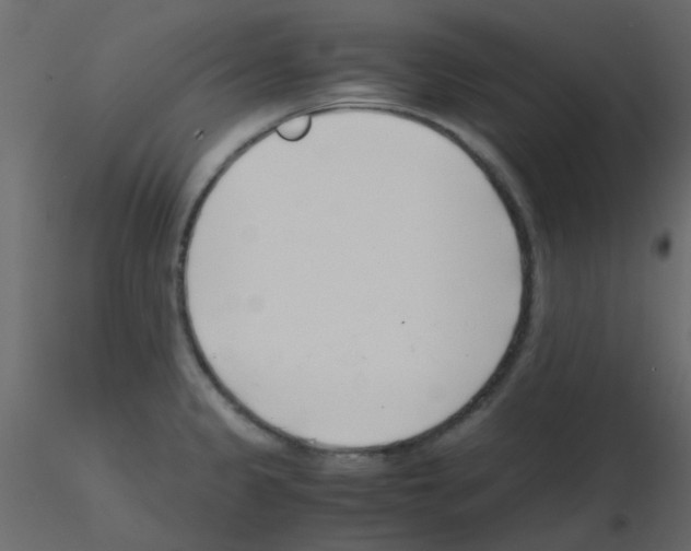 X0000115821333200912241927