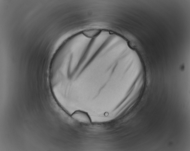 X0000115821334200912241927