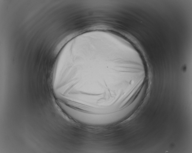 X0000115821337200912241927