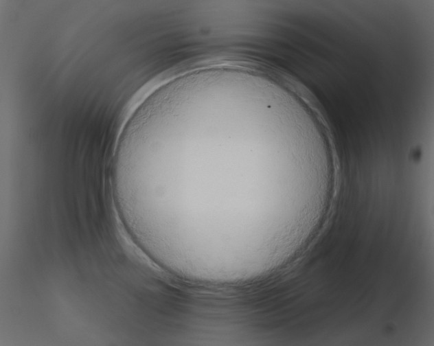 X0000115821338200912241927