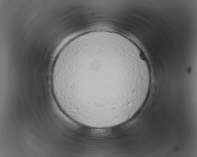 X0000115821339200912241927