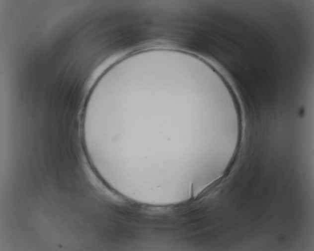 X0000115821341200912241927