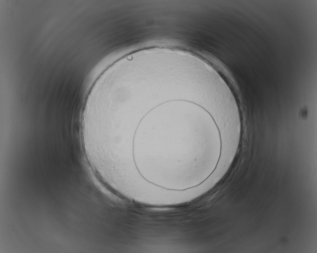 X0000115821343200912241927