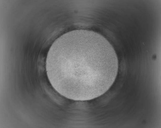 X0000115821346200912241926