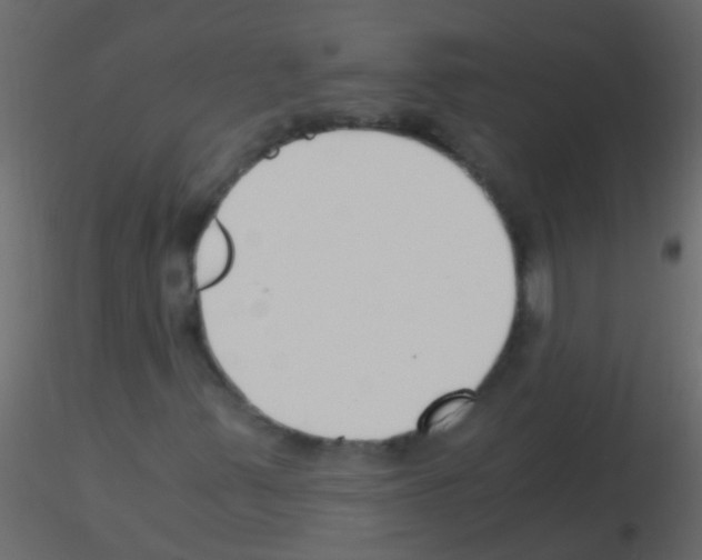 X0000115821347200912241926