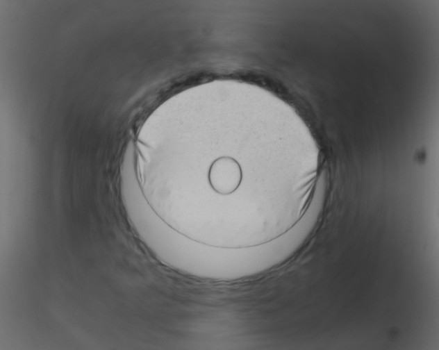 X0000115821349200912241926