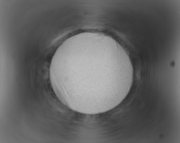 X0000115821350200912241926