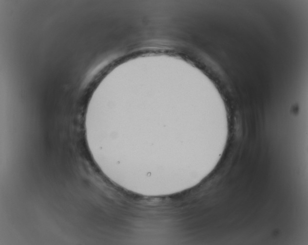 X0000115821352200912241926