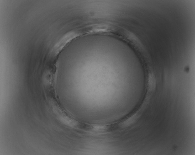 X0000115821353200912241926