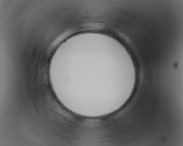 X0000115821354200912241926