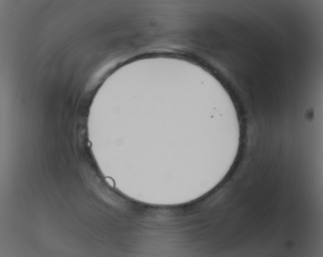 X0000115821355200912241926