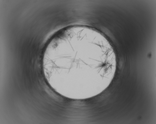 X0000115821356200912241926