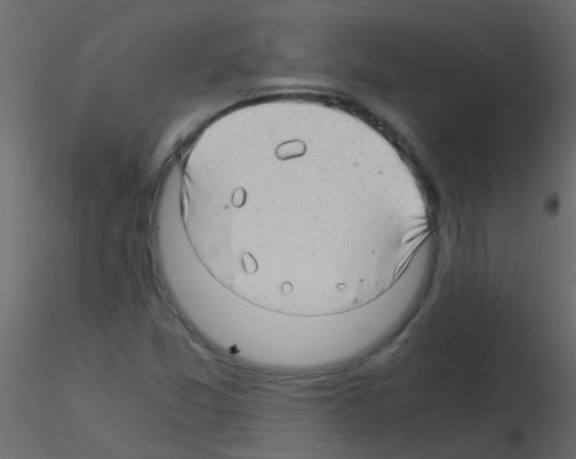 X0000115821357200912241926