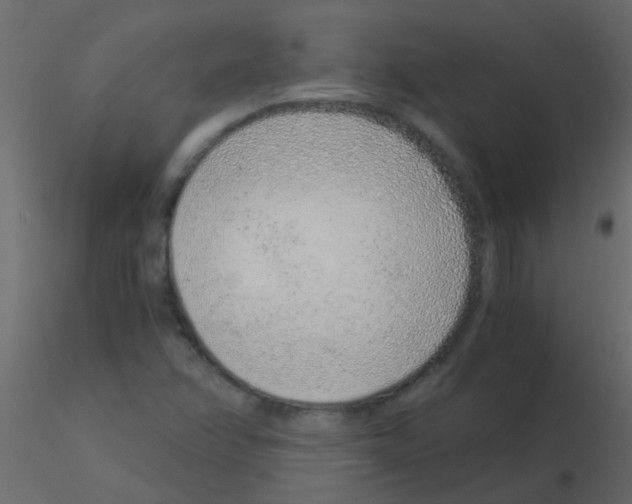 X0000115821358200912241926