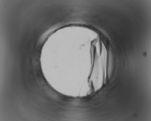 X0000115821359200912241926