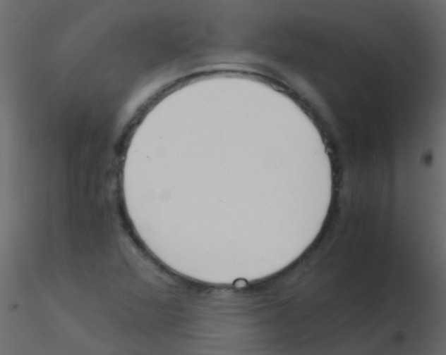 X0000115821360200912241926