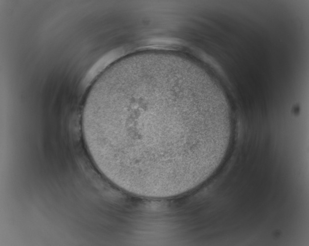 X0000115821362200912241926