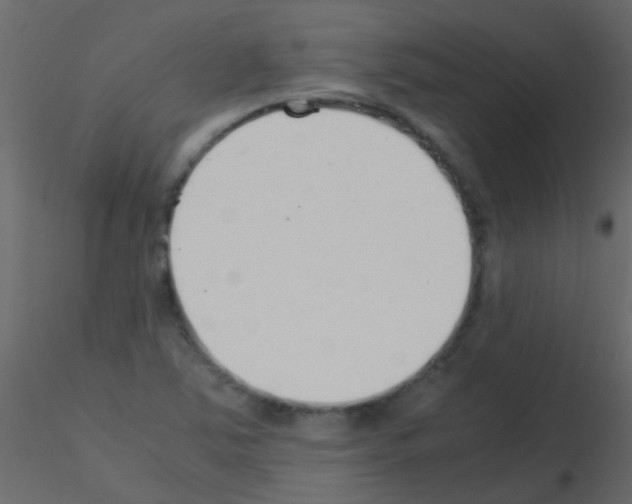 X0000115821363200912241926