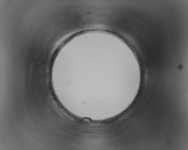 X0000115821364200912241926