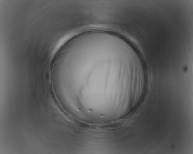 X0000115821365200912241926