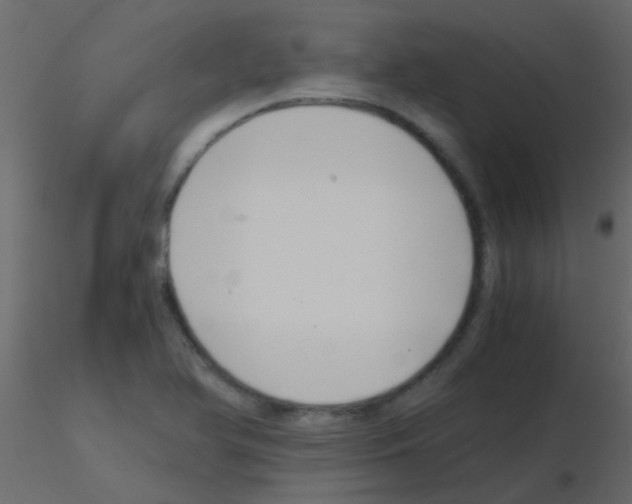 X0000115821366200912241926