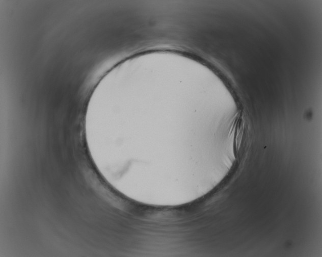 X0000115821367200912241926