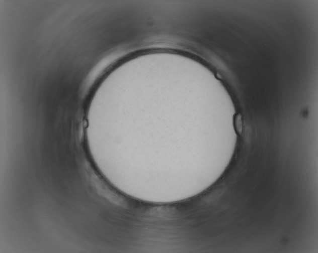 X0000115821368200912241926