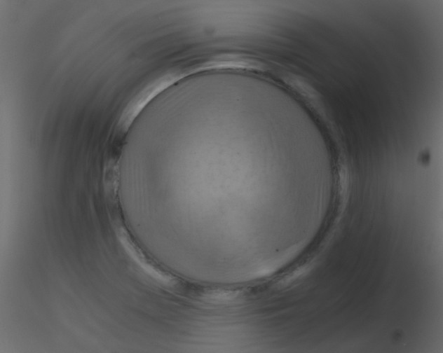 X0000115821369200912241926