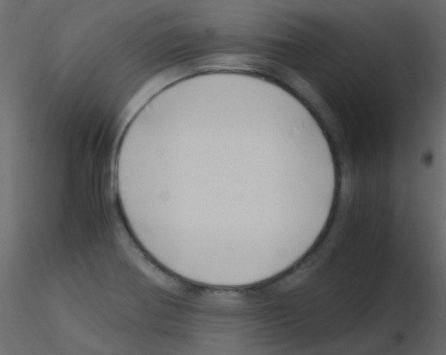 X0000115821370200912241926